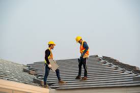 Roof Moss and Algae Removal in Missouri City, TX